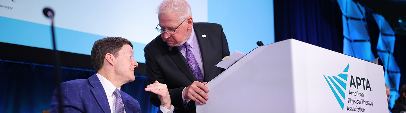 Parliamentary Law Attorney Services